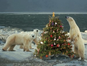 白クマのクリスマス
